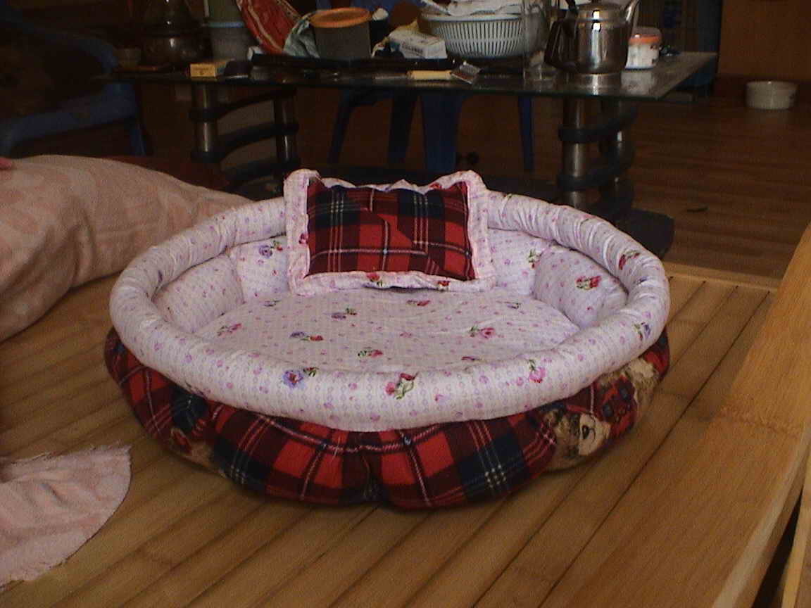 卡比狗粮~特价:420元(40磅=18.122公斤)