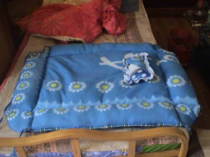 卡比狗粮~特价:420元(40磅=18.122公斤)-