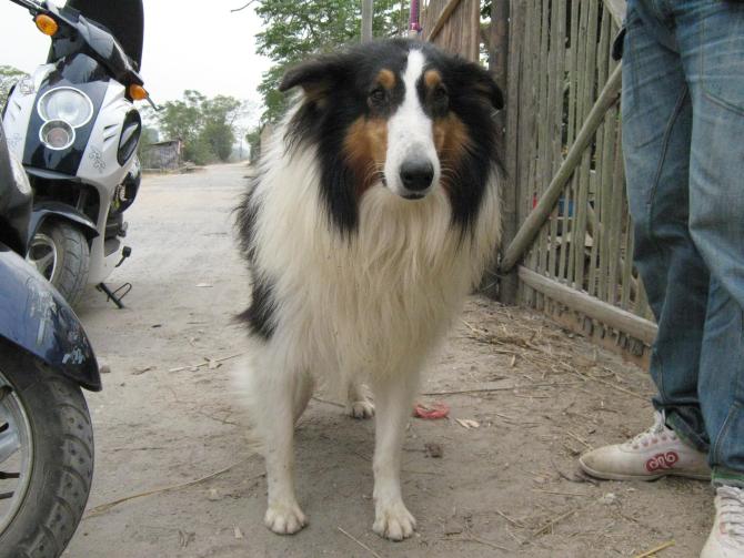 合浦交友网_合浦同城交友