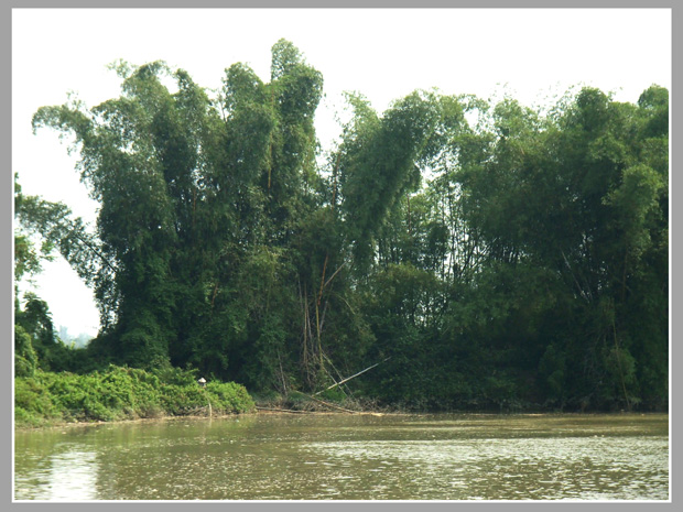 图文杂志《乡亲乡情乡韵》(陆续上传)-今日合浦