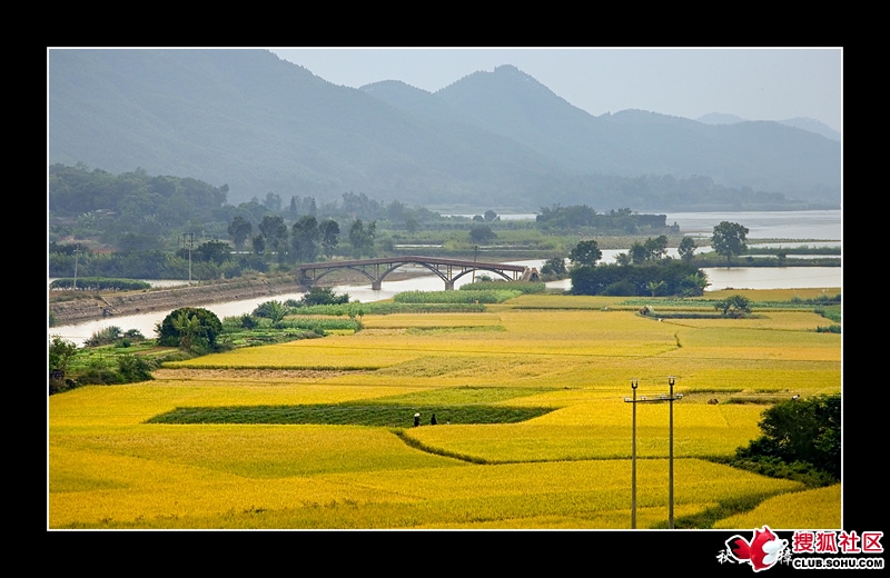 耕地机_人均耕地不足0.3亩(3)