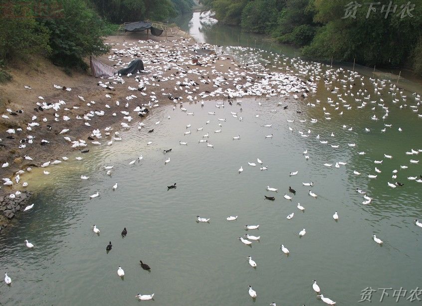 常回家看看[多图]-今日合浦-北海365网(beihai3