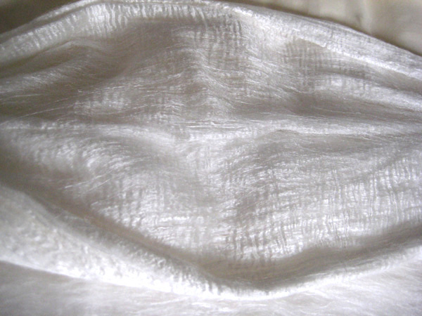 20081219_a4f4a48722d5e71a4c76kvb7781PS15U.jpg