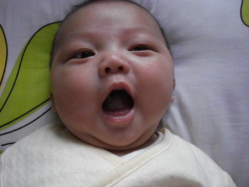 我的小儿子给各位问好了~