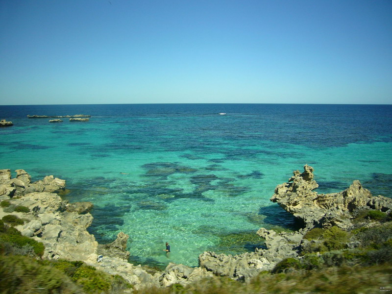 镜头中的宏观世界 -- Aus的盛夏.