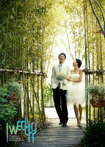 要拍就拍这样的婚纱照,温馨浪漫,看了就想结婚