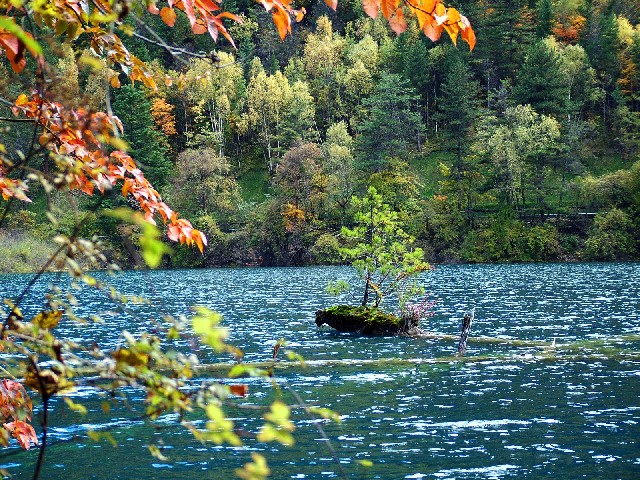 好听的法语歌:eline Dion 与Garou两大世界级巨