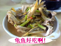 DSC00195.JPG