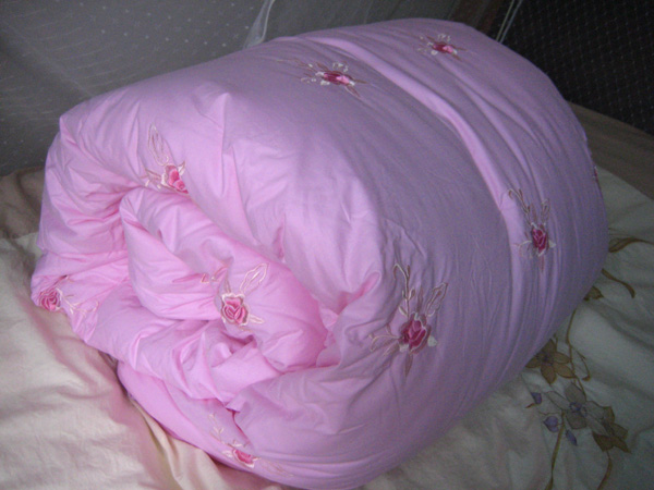 2011年12月:纯天然100%特级桑蚕丝被(160元