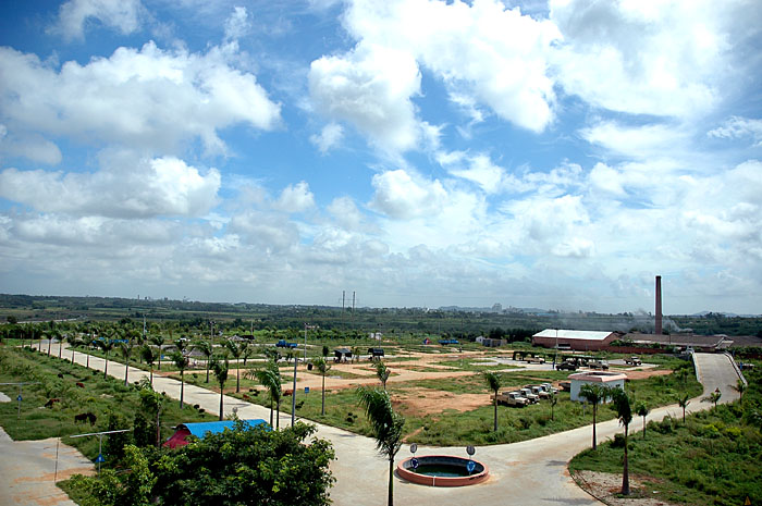 学费8折优惠--热烈祝贺宏顺驾校成立一周年!-北