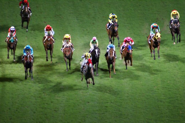 香港跑马地马场观赛马-照片里的故事-北海365