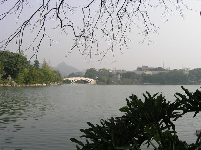 Pa210005_SNstMffTLvol.jpg