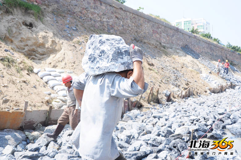 电建渔港石墙农民搬运工,贵州来的他们每天扛石块万斤