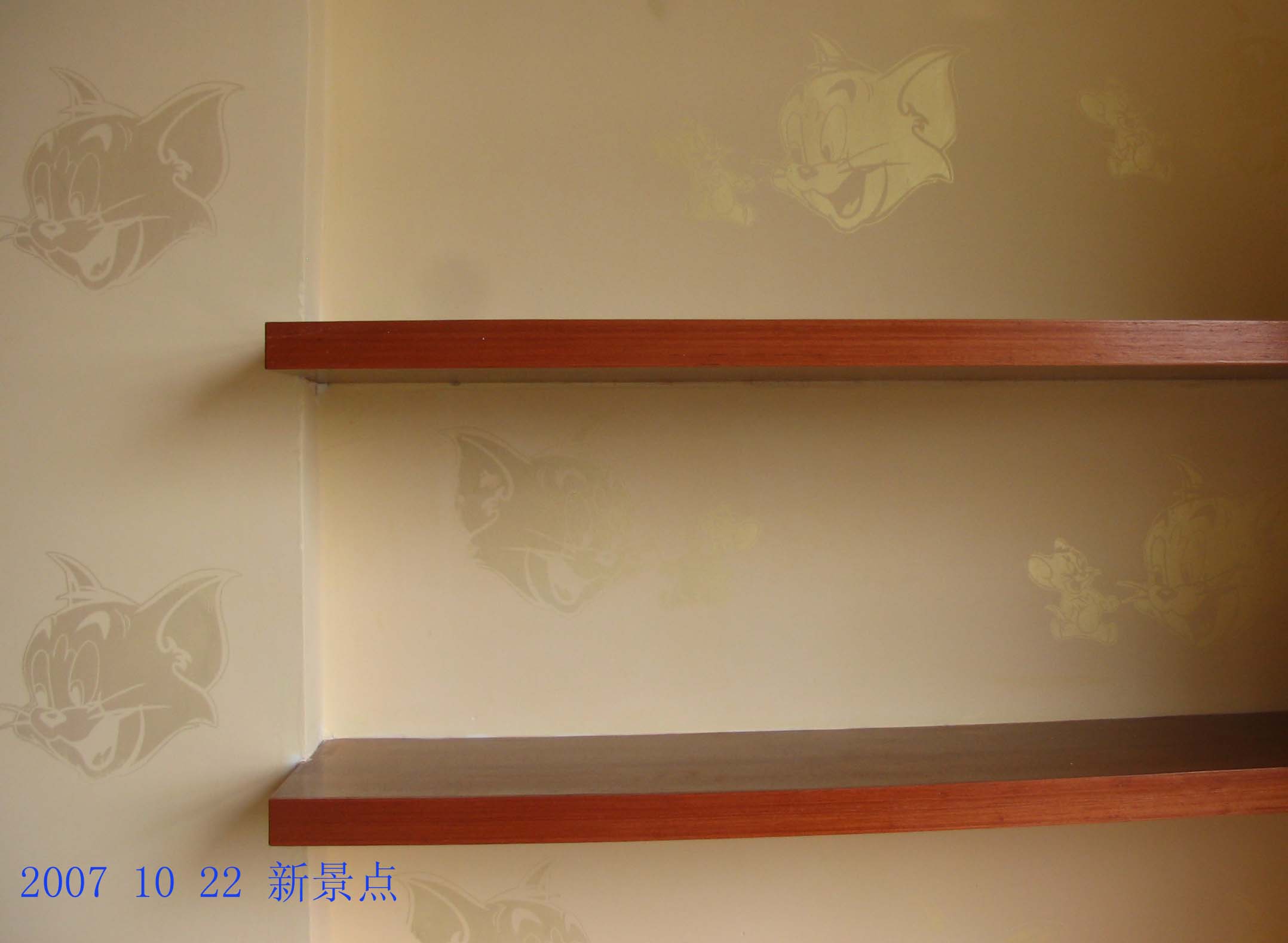20071025_59aebaf444b82d6a5c69i4gSKv7nvctF.jpg