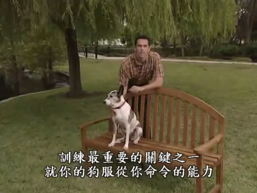 20100903_8ed82b43a1e876e553dea7wCyxcAtk2Z.jpg