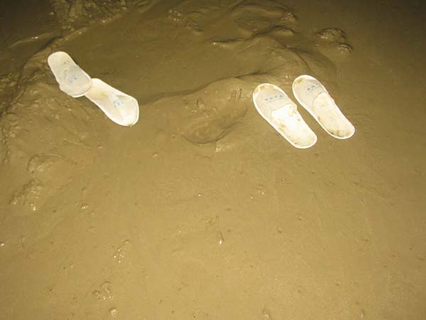 环保--驴的美德!(新驴的成长日记之桥港烧烤露