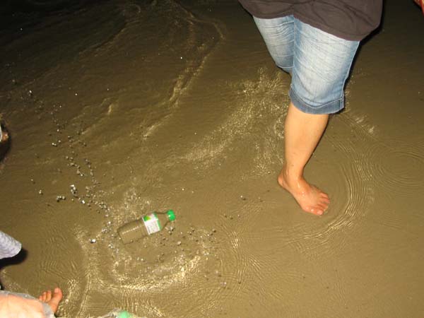 环保--驴的美德!(新驴的成长日记之桥港烧烤露