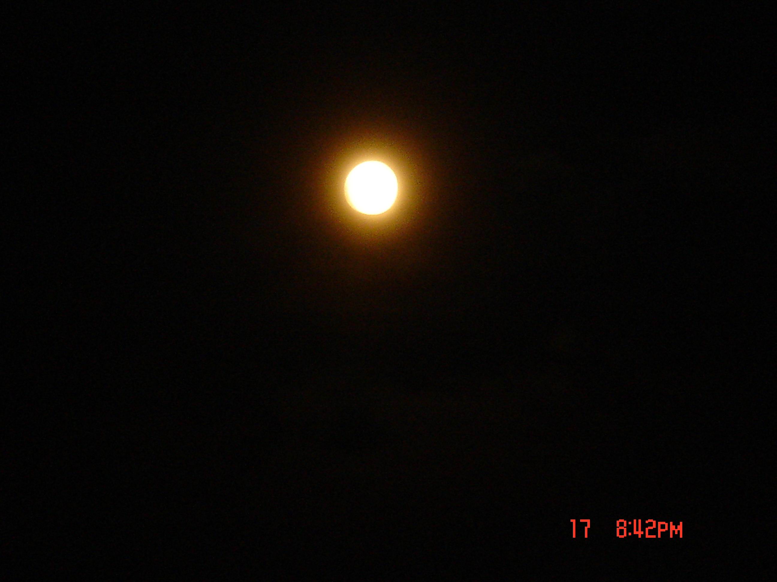 DSC03310qq_WmQel2FWdjoZ.jpg