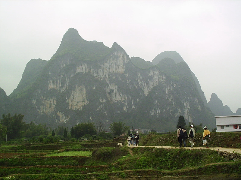 九马画(话)山