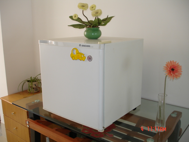 转让容声牌冰箱一台型号 BC-50\/H,价格450元-