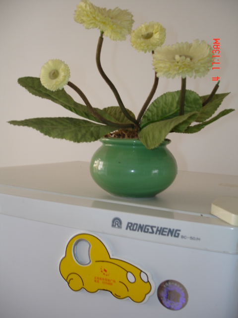 转让容声牌冰箱一台型号 BC-50\/H,价格450元-