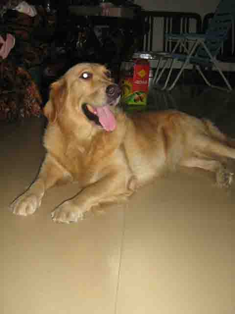 20071018_0b6307109709f270571eaf1jmdoyrxmb.jpg