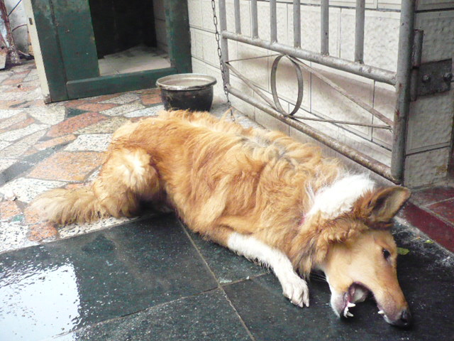 P1050115.JPG