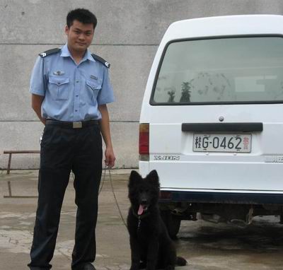 与大家一起分享我的爱犬 比利时格罗安达>