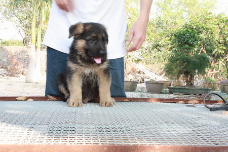 20090216_a13cdfc5cdd9a130a7bcCOsi8V99fnvo.jpg