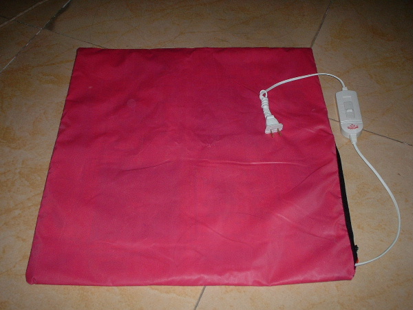 DSCF0032_AibFrbt0DfBy.jpg