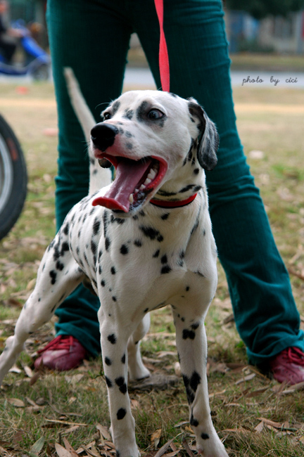 DSC_1202_8OEejngxLVW0.jpg