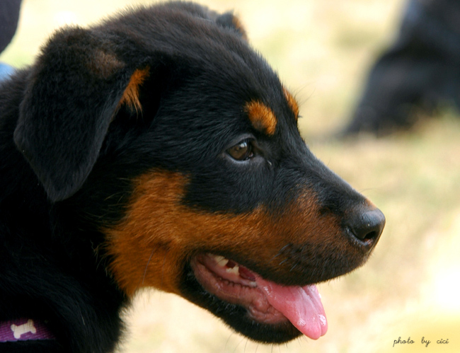 DSC_1207_BKfctuhrffMj.jpg