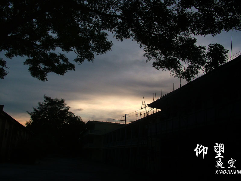 拍拍贷是诈骗网站_有利网是诈骗网站吗_诈骗