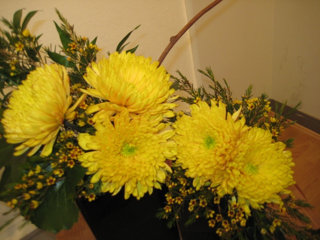 请教大家,家庭数码相机哪种好点?-数码生活-北