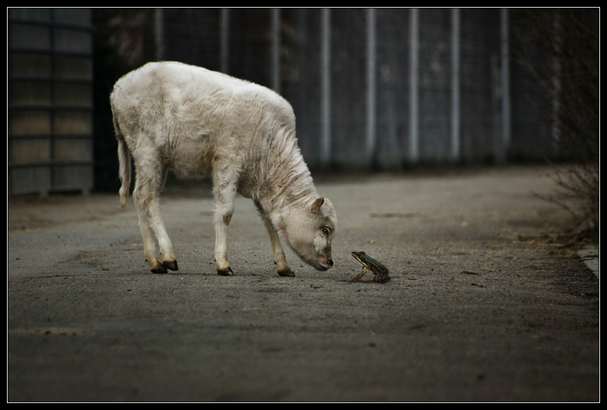 小巫见大巫-数码生活-北海365网(beihai365.co