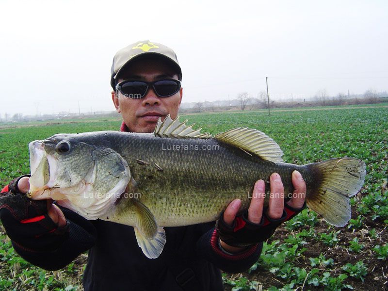 1-鱼乐无限-北海365网(beihai365.com)