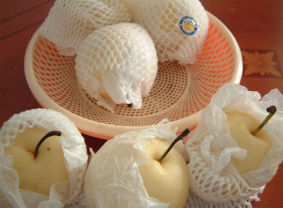 买梨时,请注意!(PP)-民间志愿者-北海365网(be