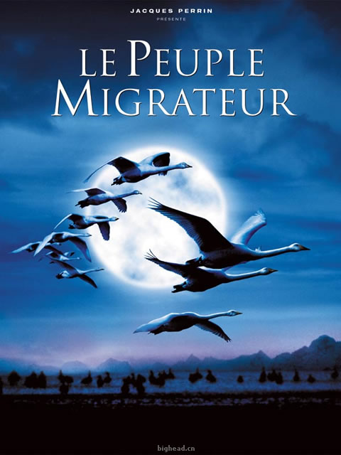 法国历史上最完美记录片《迁徙的鸟》(转贴)-我
