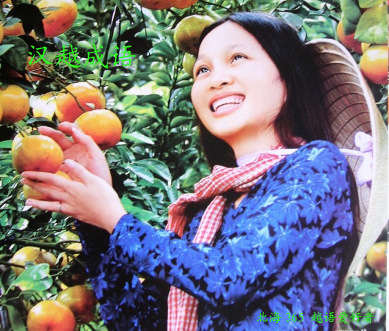 大家一起学:汉越成语-中越互译交流-北海365网