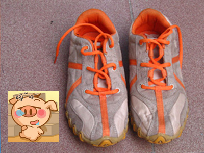 20070226_cc393b11e0064f4d16e0Thkppe1s5sk5.jpg