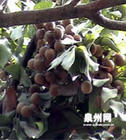 u=3719992972,2960362999&gp=48.jpg