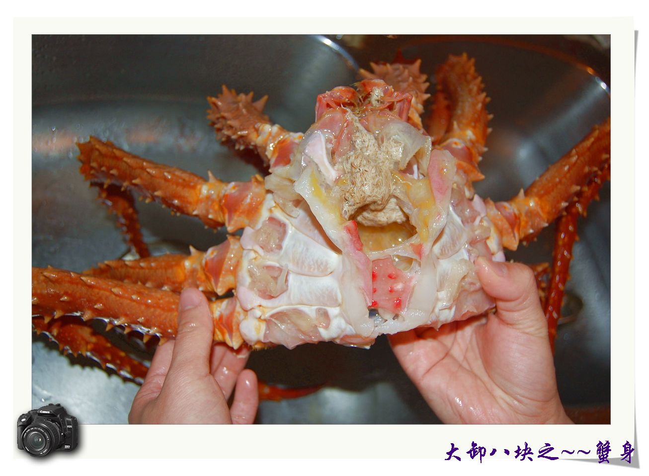 阿拉斯加皇帝蟹—大快朵颐—alaska king crab