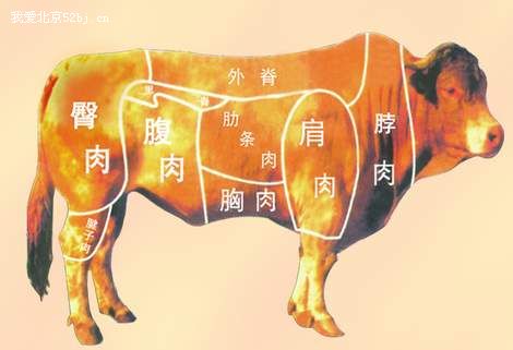 8300_1161083005.jpg
