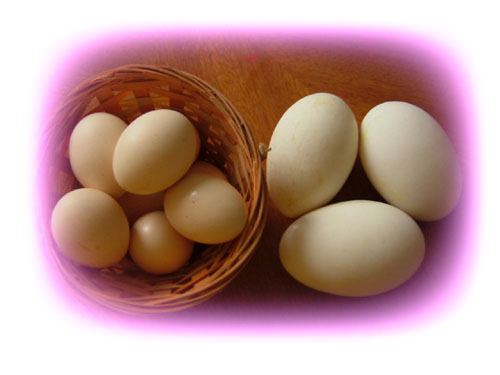 DSCF4506_AFzIZIPaKeET.jpg