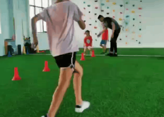 01.gif