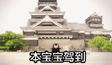 4810008bf6422b8353c.gif