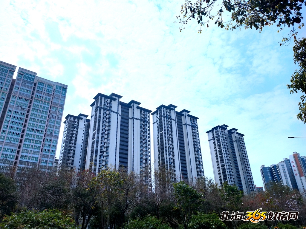 微信图片_20210402091243.jpg
