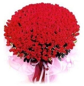 社会阶层_即使高收入阶层花(3)