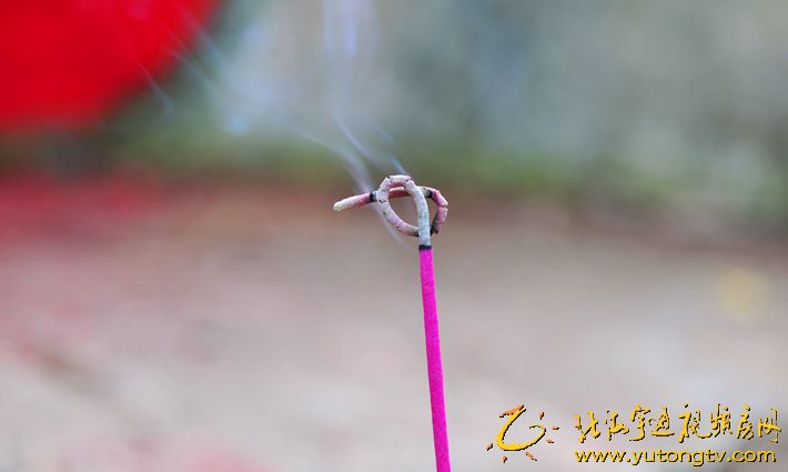 北海清明奇闻上香先祖显灵!?