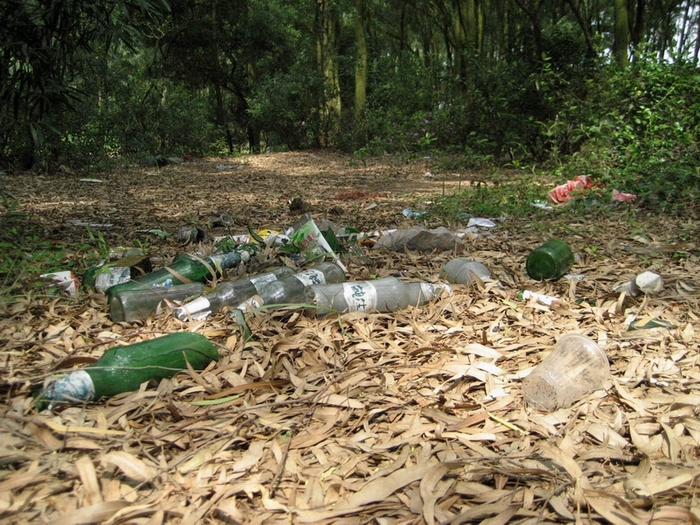 公益合浦绿色周末--清洁清水江活动总结-民间